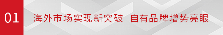 九州官方网站科技(002955)发布2023年年度报告:全年毛利率持续改善 海外战略驱动成长 九州官方网站科技(002955)发布2023年年度报告:全年毛利率持续改善 海外战略驱动成长